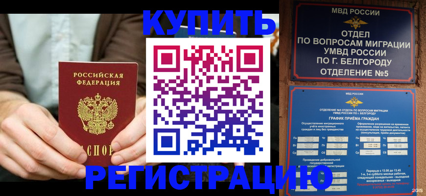 прописка 2025 в Опочке